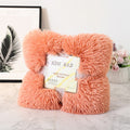 Double-Sided Velvet Blanket with Pillow Cover